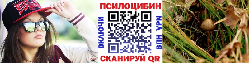 купить наркотики цена  Лахденпохья  Псилоцибиновые грибы MAGIC MUSHROOMS 